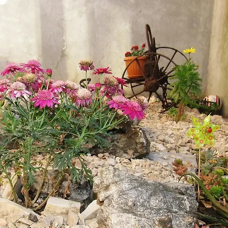 Apartamento Festina Ivana *